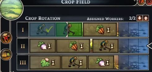 Crop Rotation and Field Maintenance