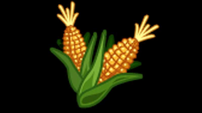 Farm-Corn-Farmville-3