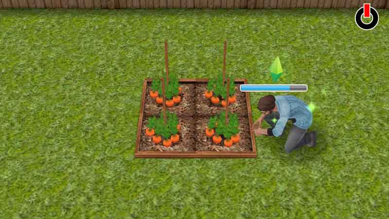 Plant Vegetables in Sims Freeplay to Get More Simoleons 