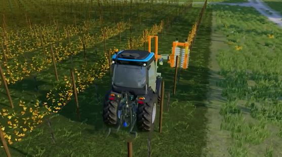 How to Grow Grapes in FS 23