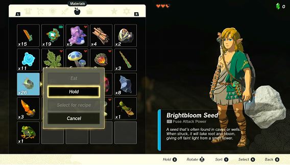How to Use Brightbloom Seed in Tears of the Kingdom