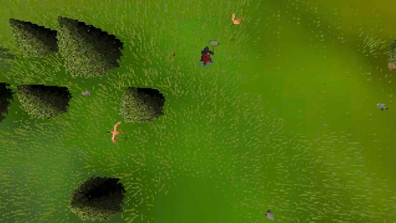 hunting in osrs