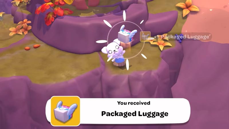 my melody's lost luggage
